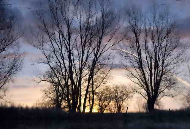 DSC 0331e