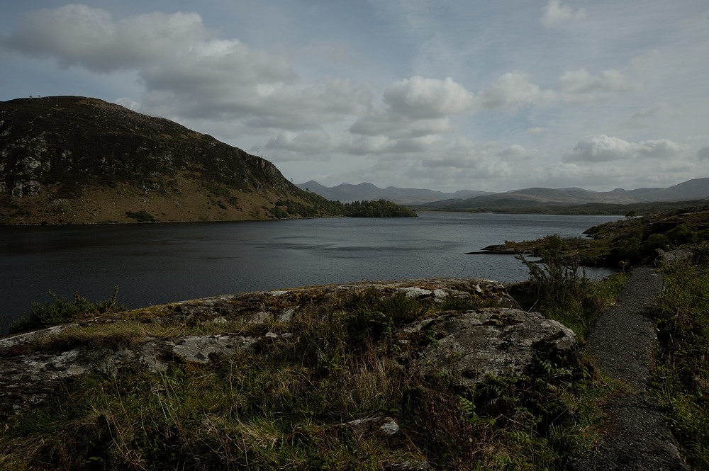 DSC 0336a