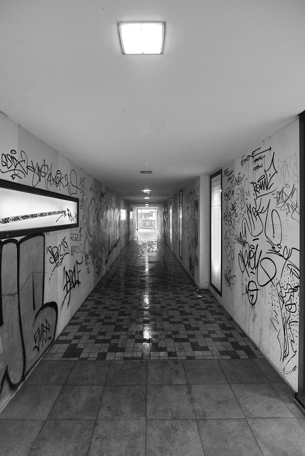 DSC 0360