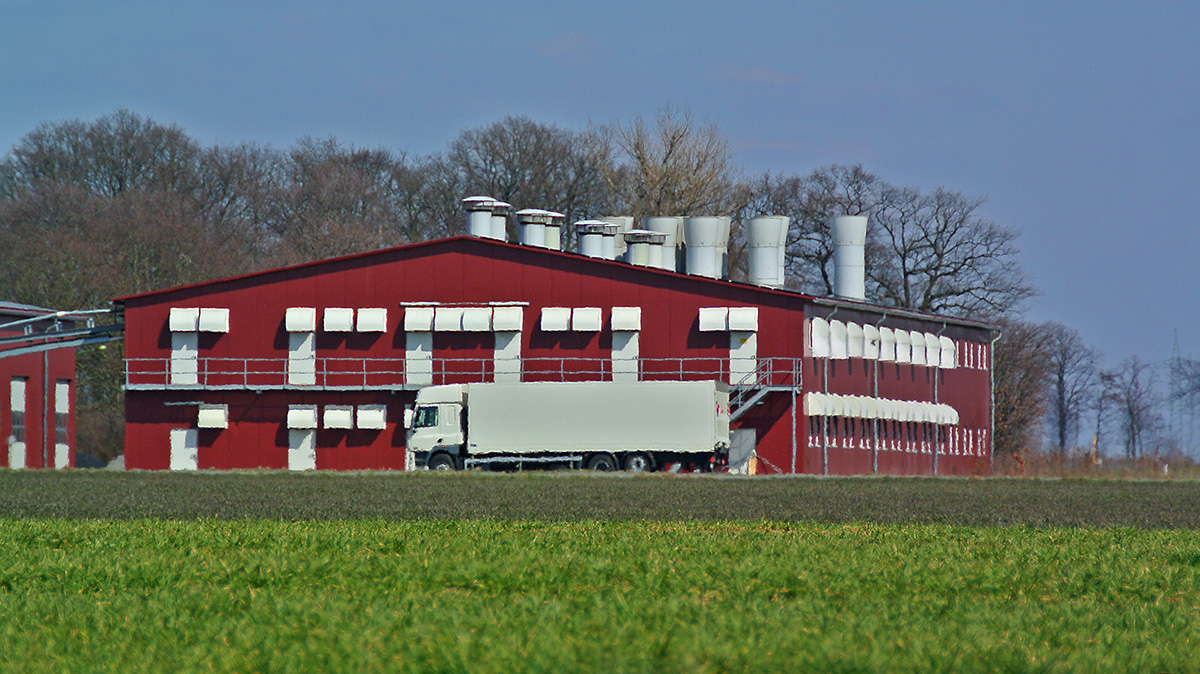 DSC 0368Kxl