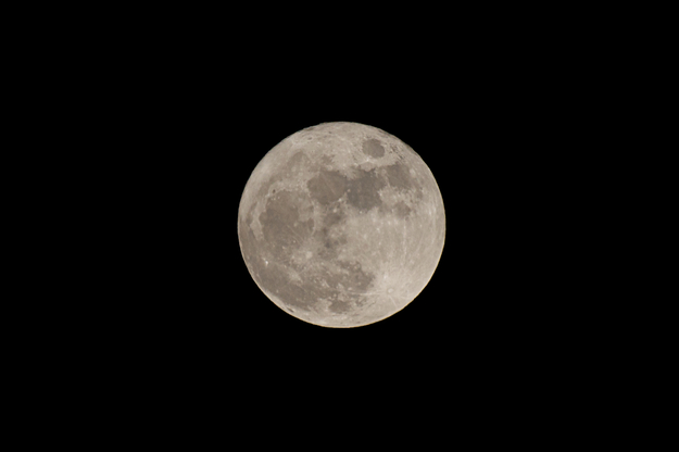 dsc 0402