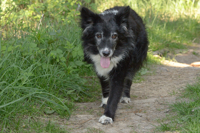 DSC 0403d