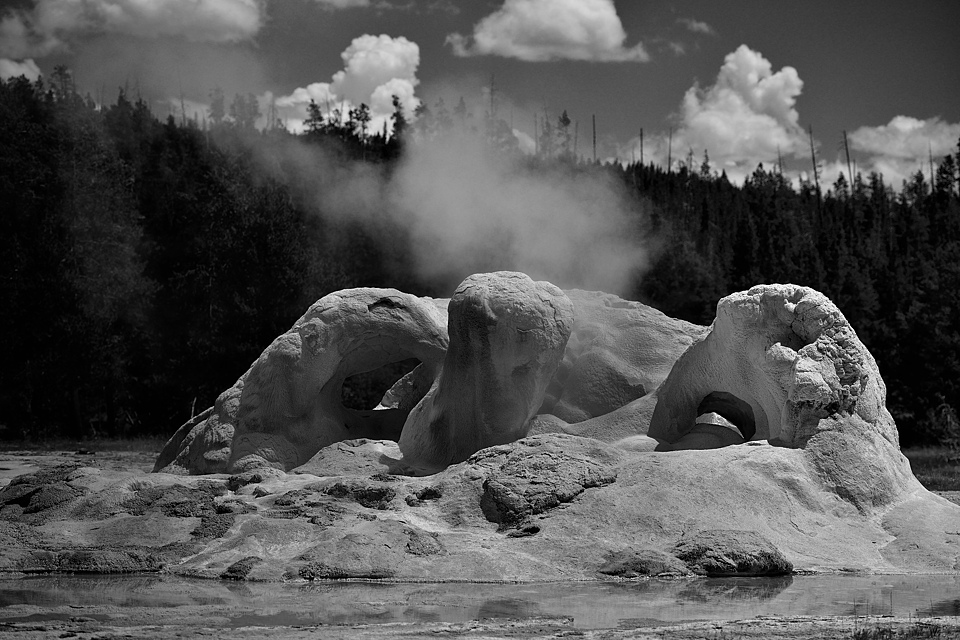 DSC 0423 sw NF-F
Old Faithful Area, Grotto Geyser