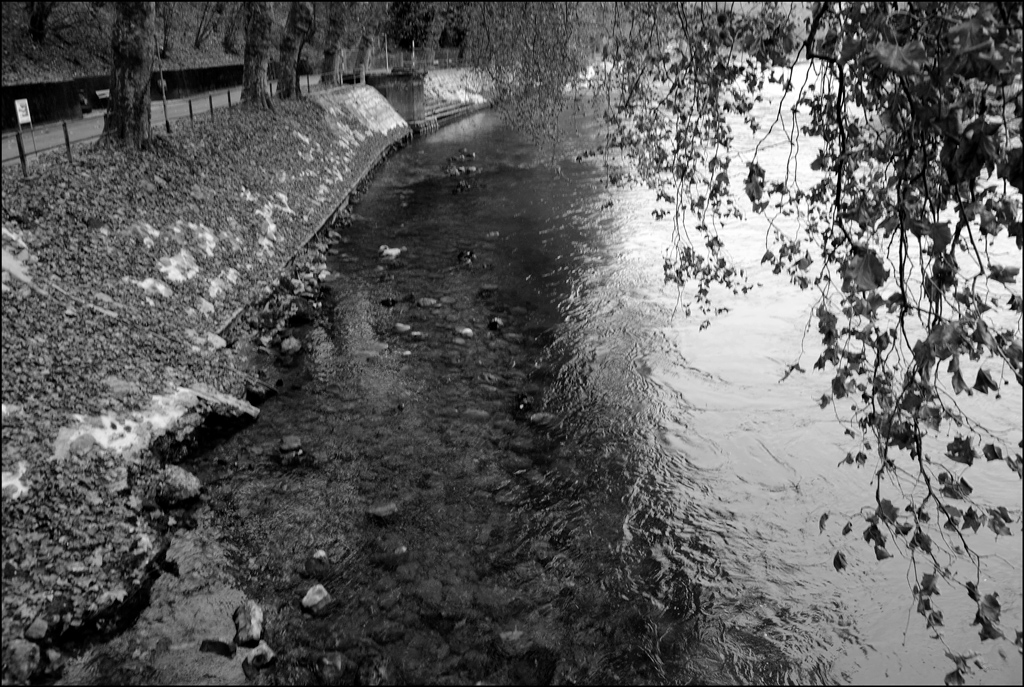 DSC 0423