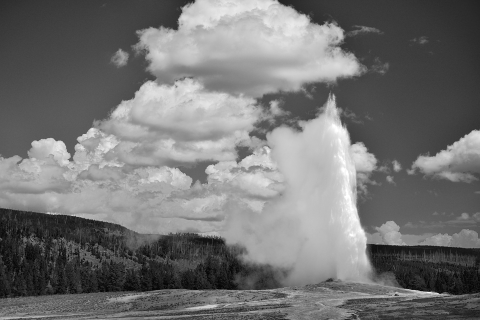 DSC 0432 sw NF-F
Old Faithful