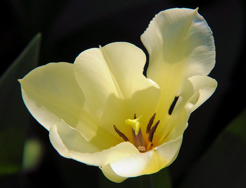 DSC 0444