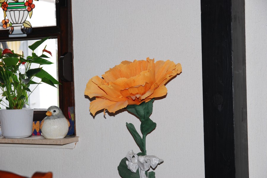 DSC 0446n