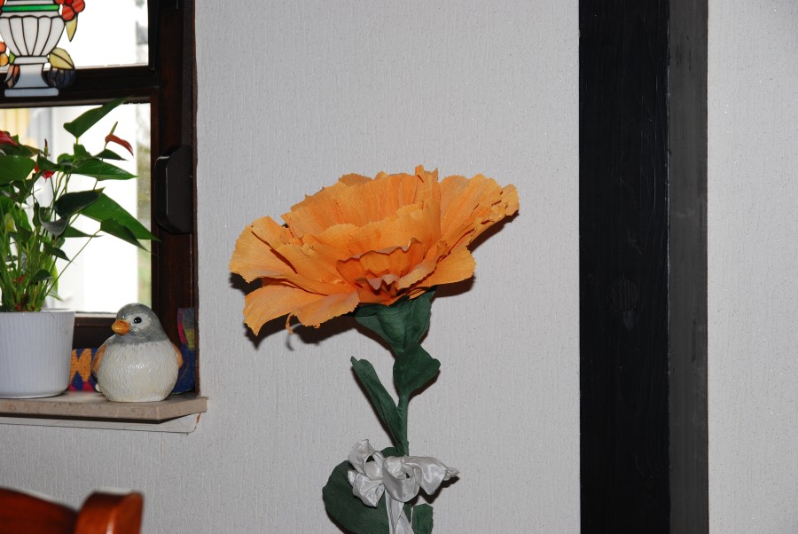 DSC 0448n