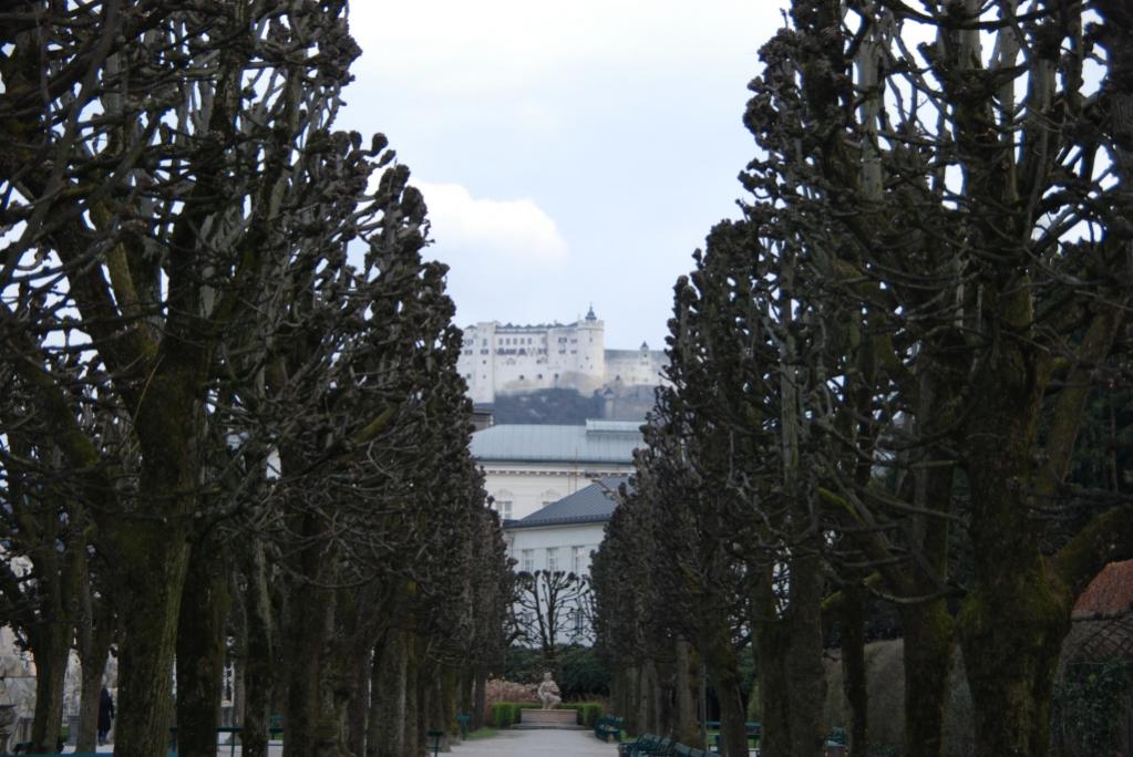 DSC 0465031915770001
