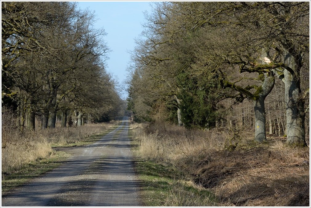DSC 0480