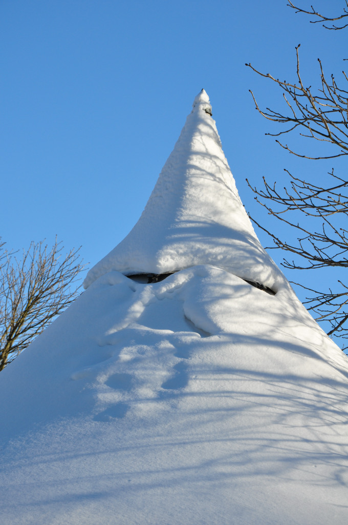 DSC 0498