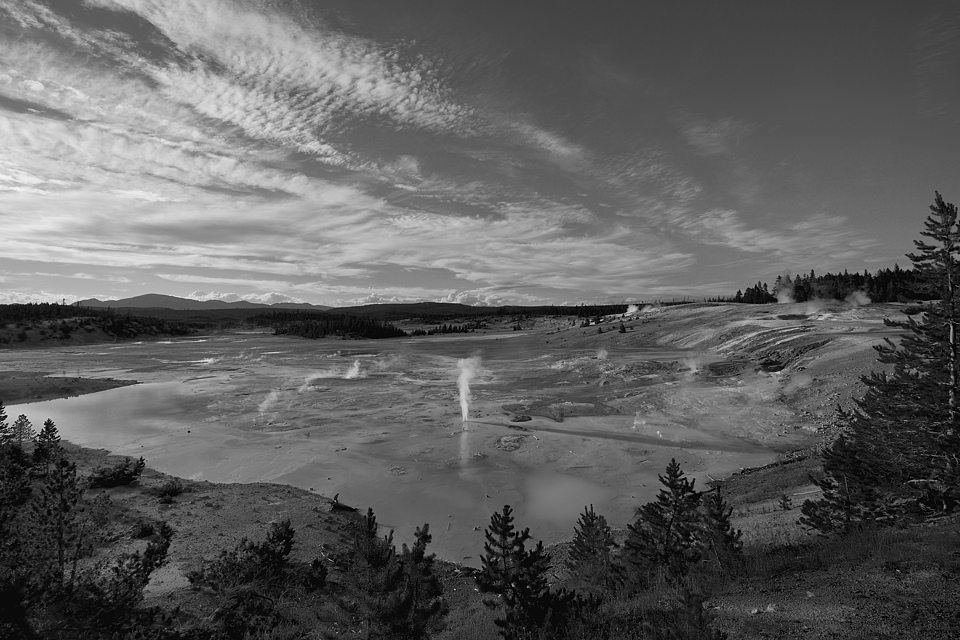 DSC 0499 sw NF-F
Norris Geyser Basin, Porcelain Basin