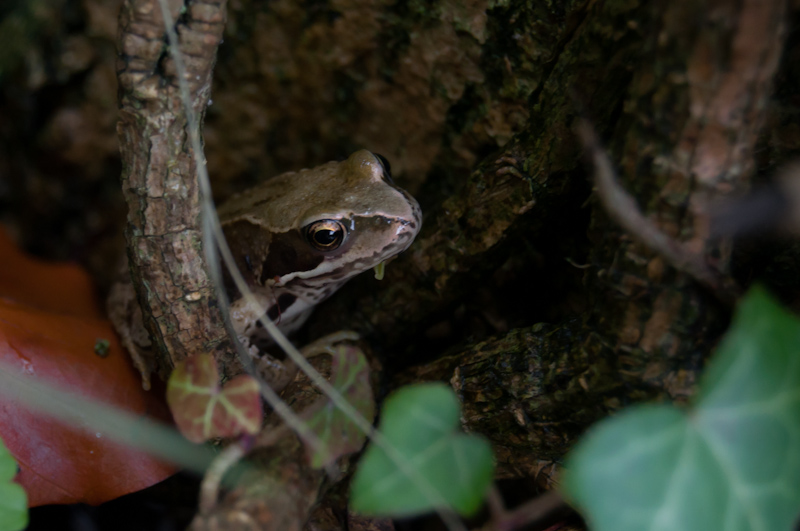DSC 0512 small