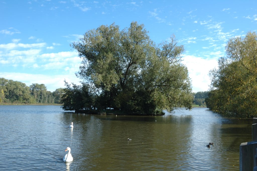 DSC 0518