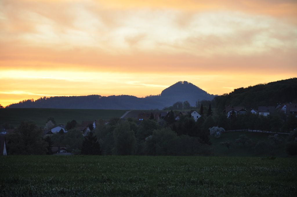 DSC 0525