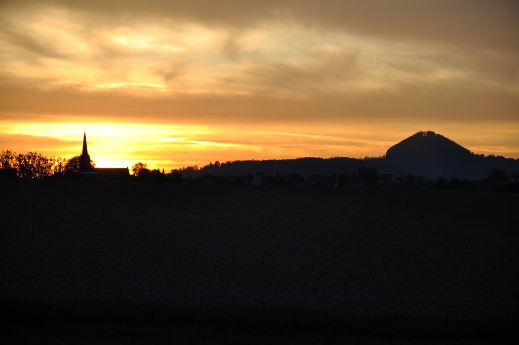 DSC 0531
