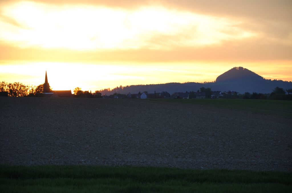 DSC 0532