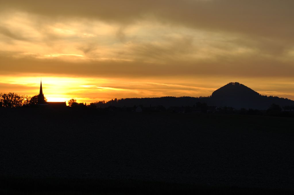 DSC 0533