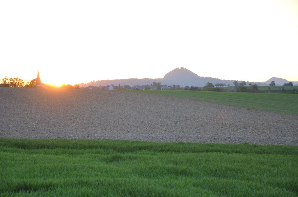 DSC 0536