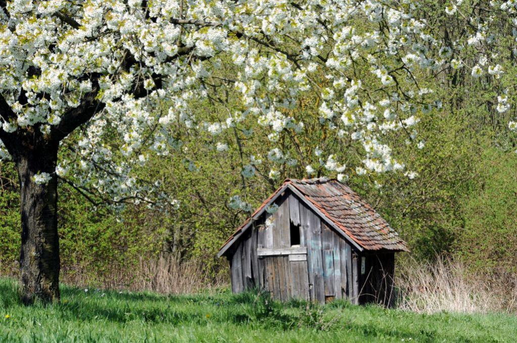 DSC 0539 bearbeitet 1 084