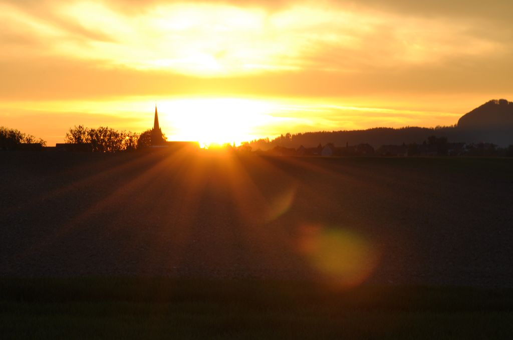 DSC 0539