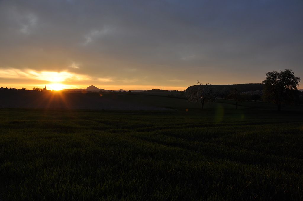 DSC 0550