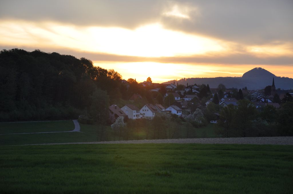 DSC 0553