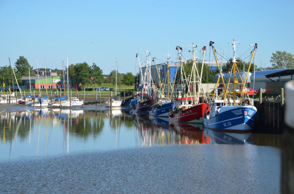 DSC 0560 144

Husumer Hafen