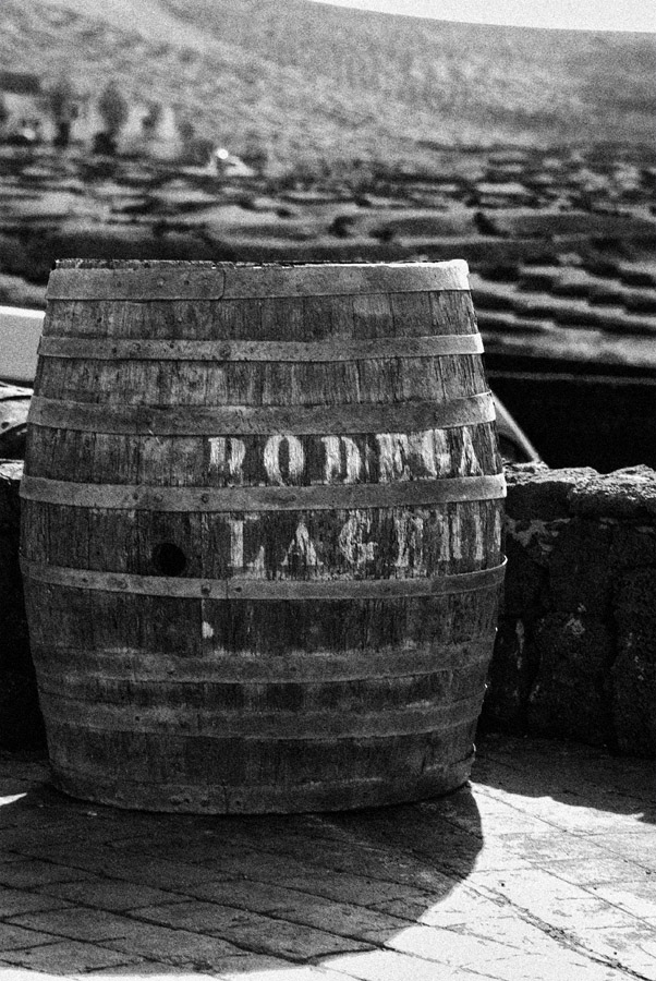 DSC 0569 Kopie2