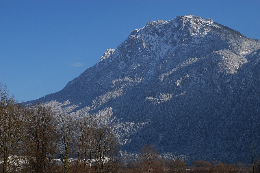 DSC 0583