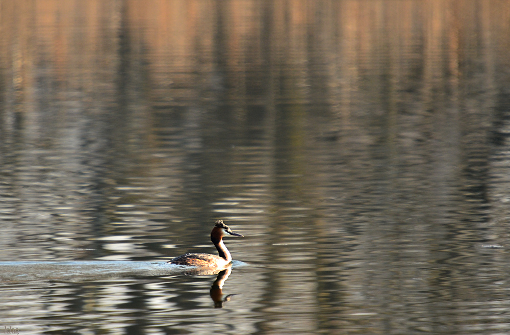 DSC 0584 khg