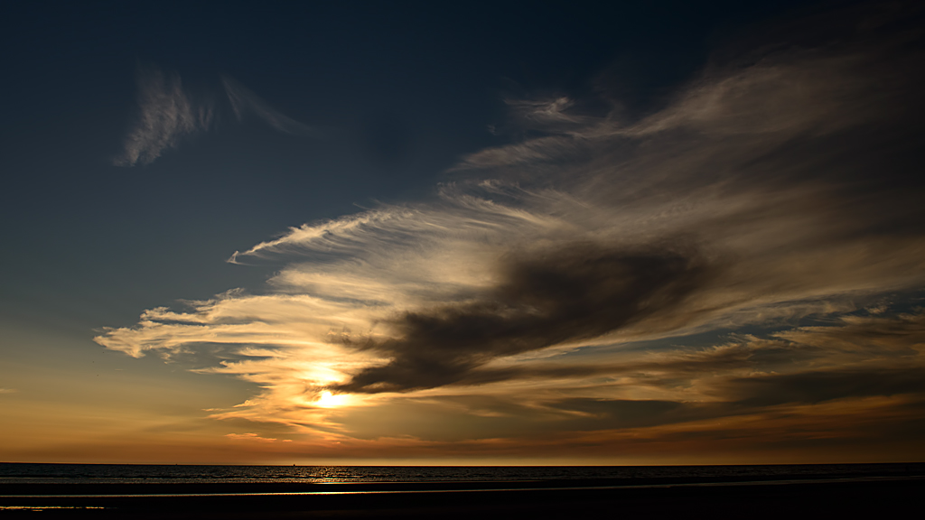 DSC 0592 SU