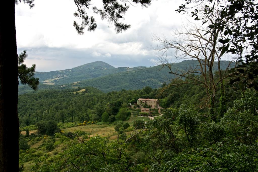 DSC 0592Umbria