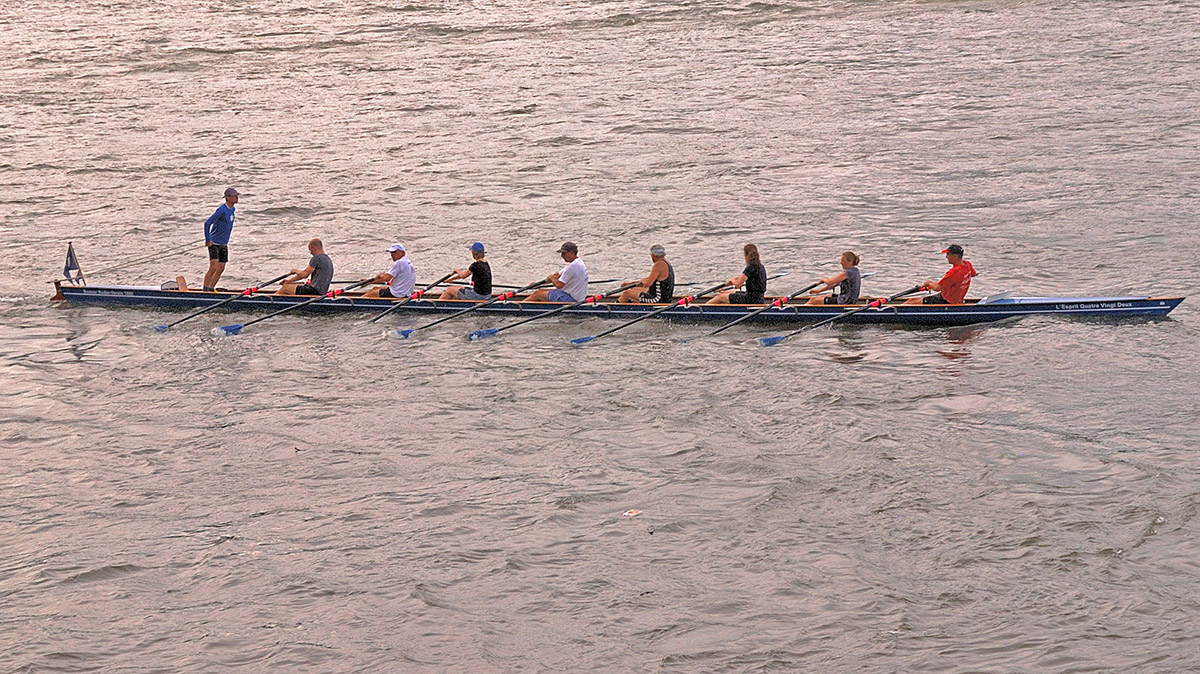 DSC 0595cnxPxl