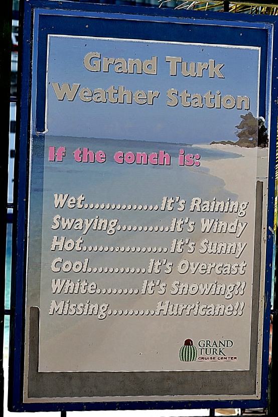 DSC 0603