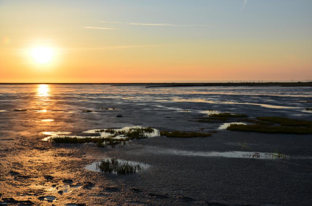 DSC 0650 145

Wattenmeer vor Schobüll beim Sonnenuntergang
