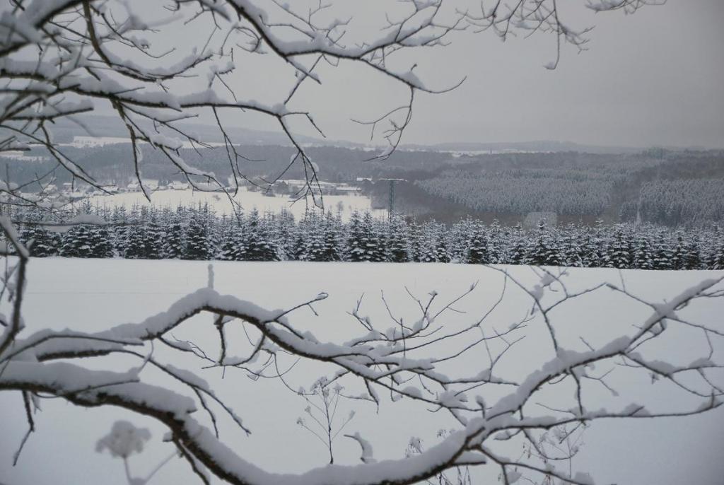 DSC 0651 Neuschnee 17 a
