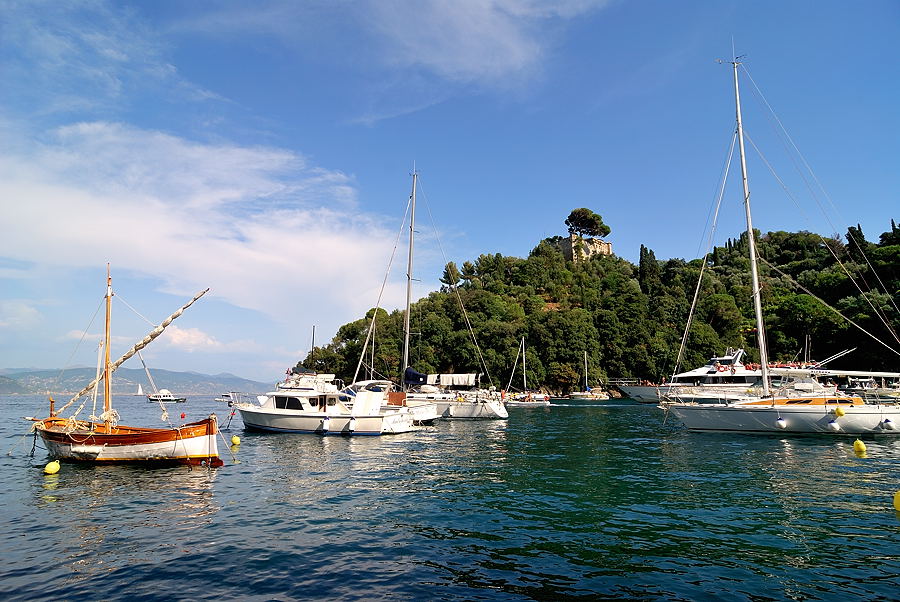 DSC 0690