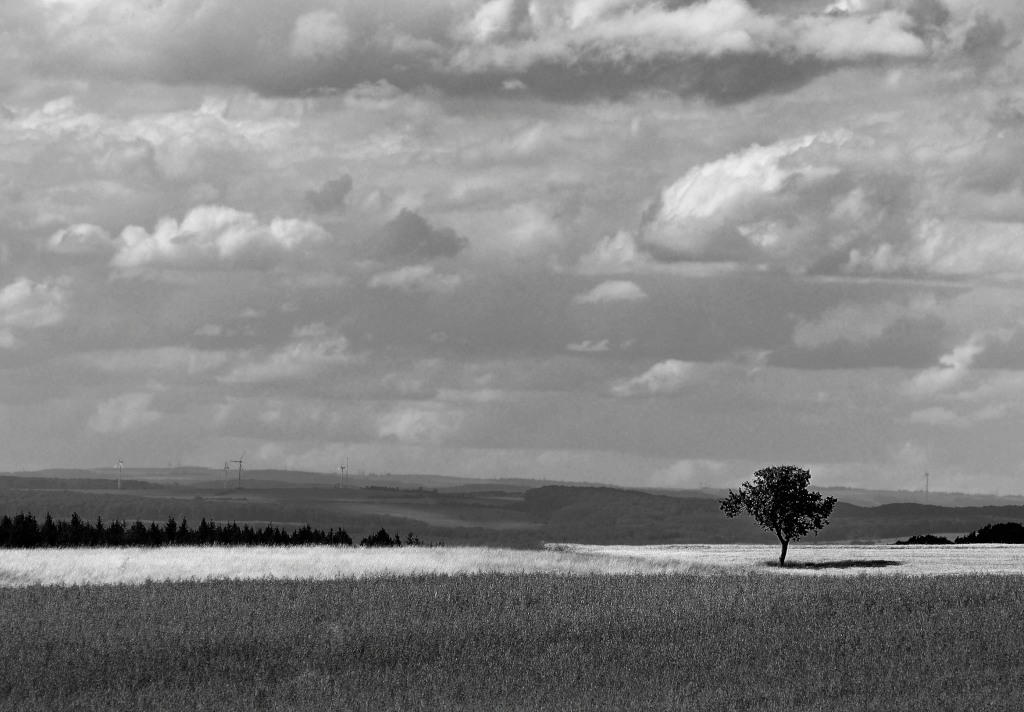 DSC 0702 01x