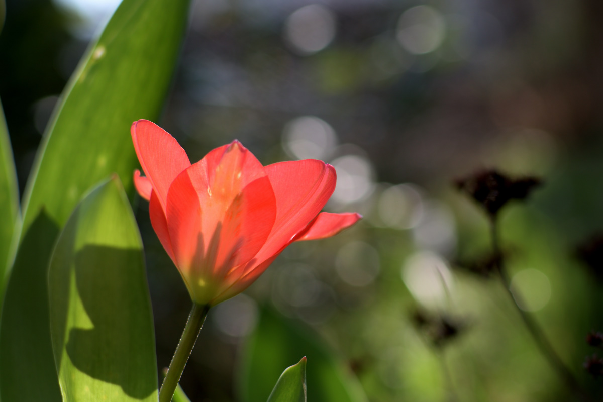 DSC 0704 00001 01