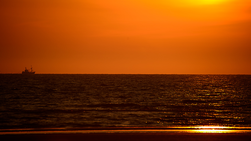 DSC 0704 SU