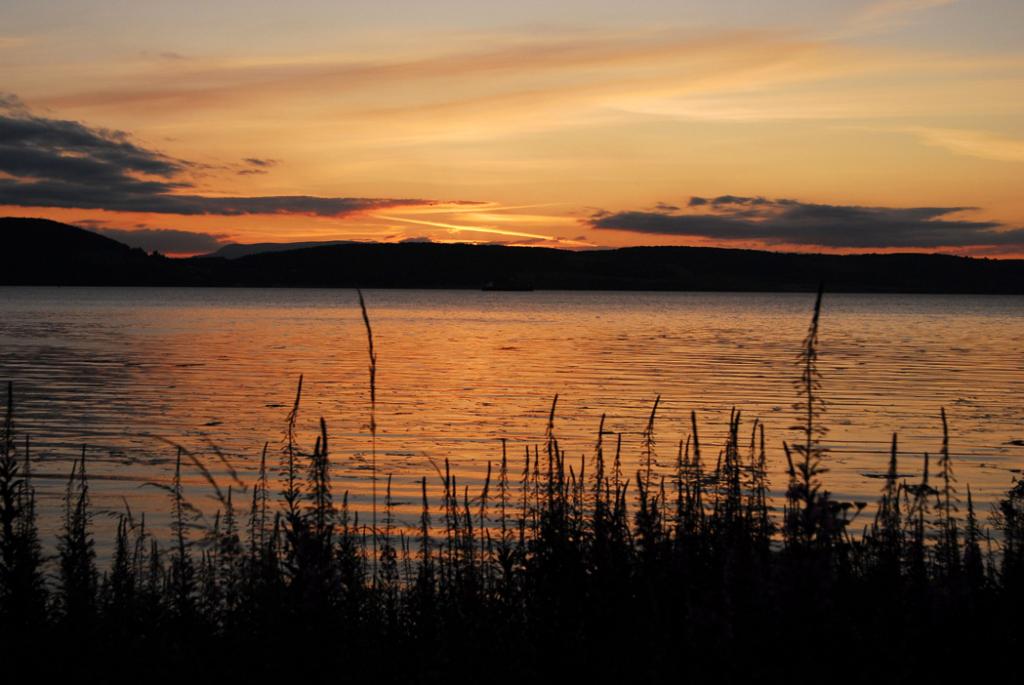 DSC 0707 W1049