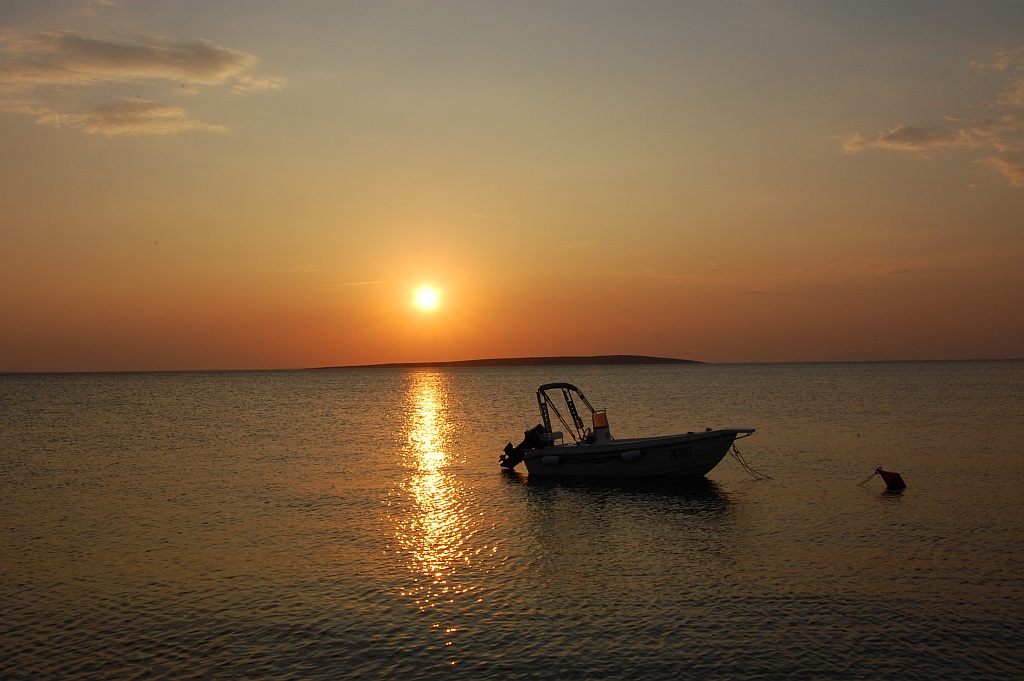 DSC 0732