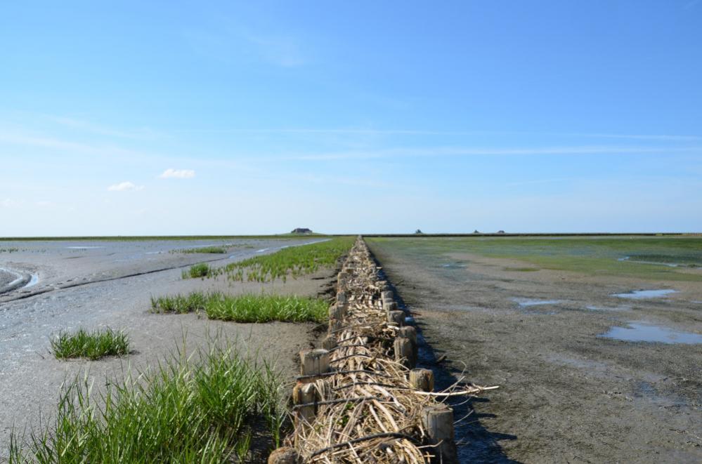 DSC 0740 146

Auf dem Weg durchs Wattenmeer nach Lüttmoorsiel