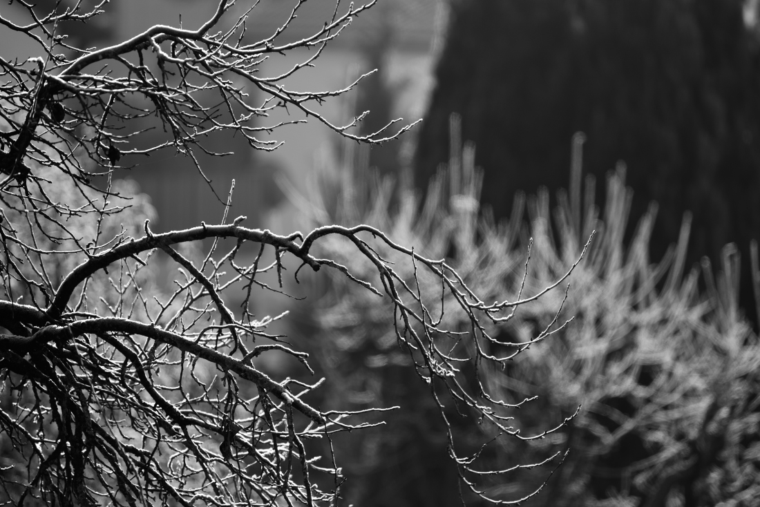 DSC 0740 a