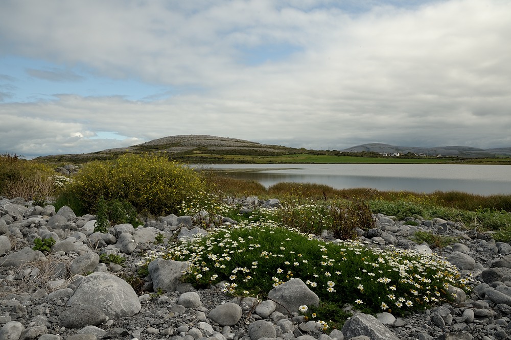 DSC 0783a