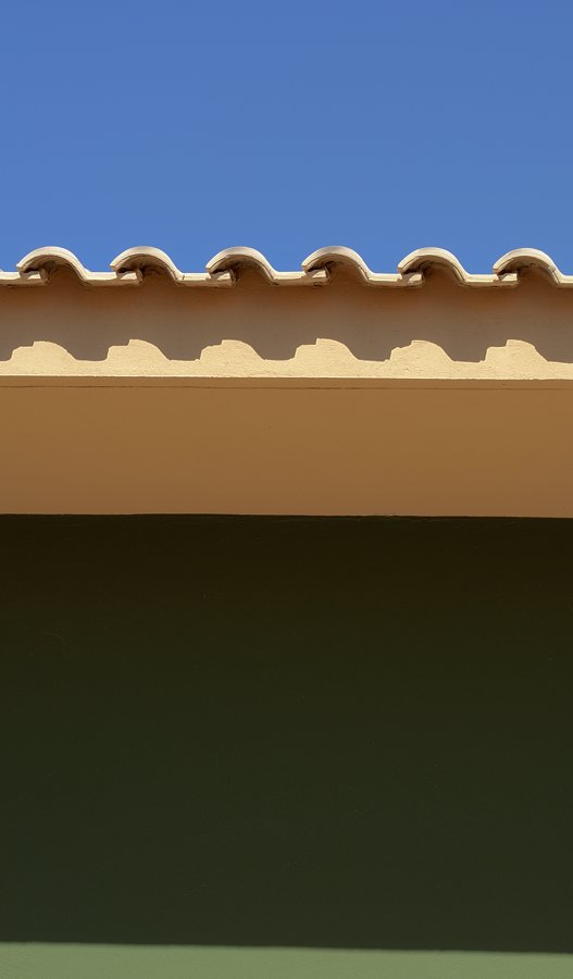 DSC 0800