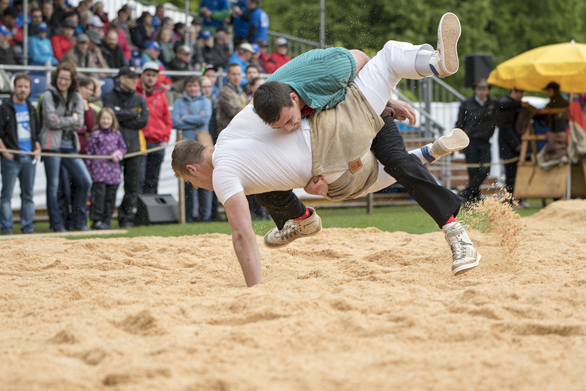 DSC 0833 web