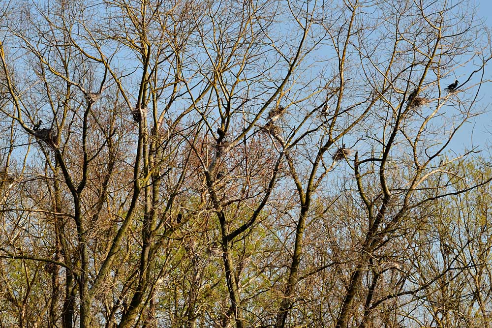 DSC 0841 khg