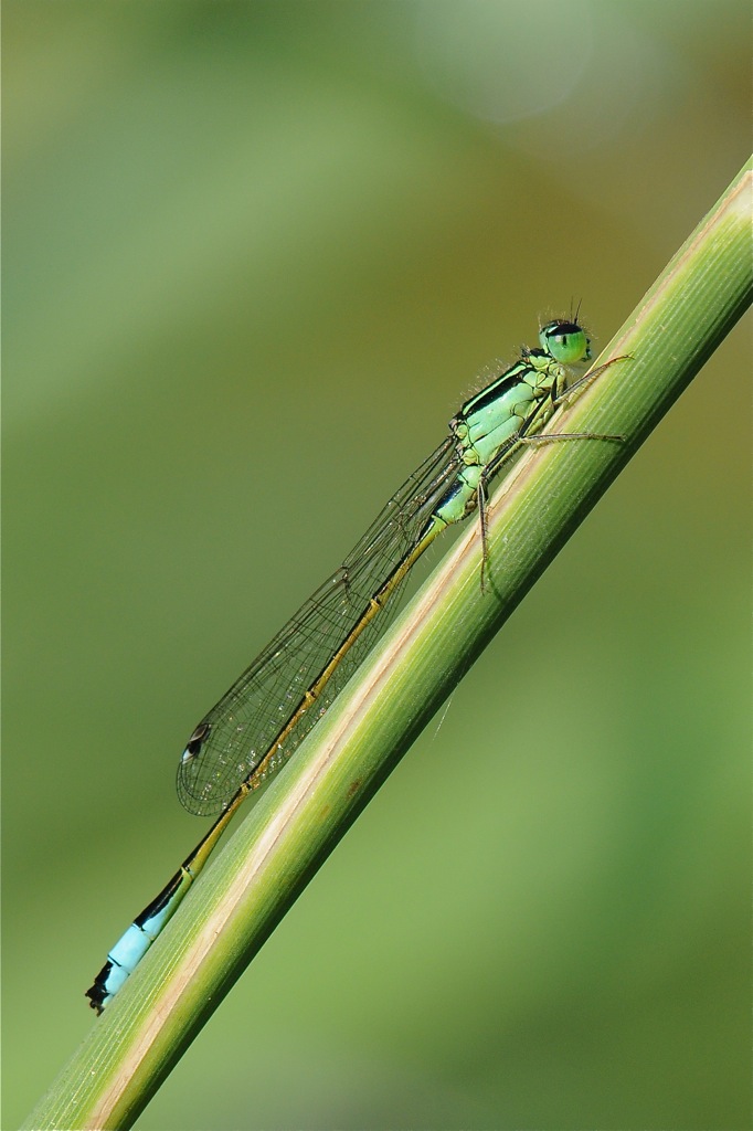 DSC 0844